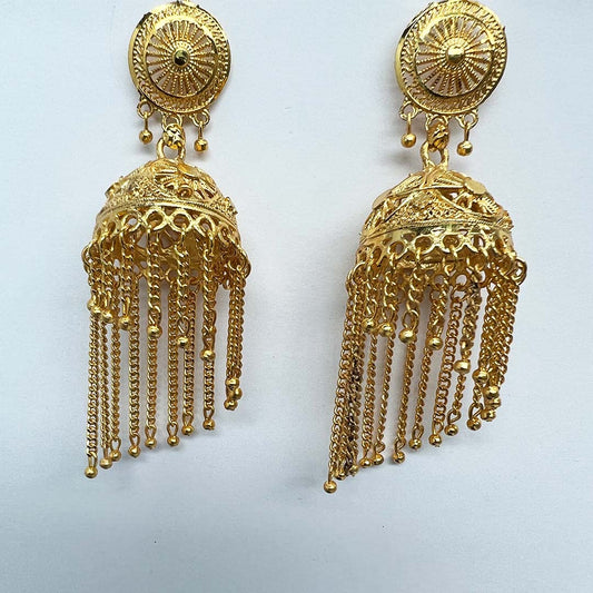 Earring For Girl and Women / Jumky Kanty Long Stiyle